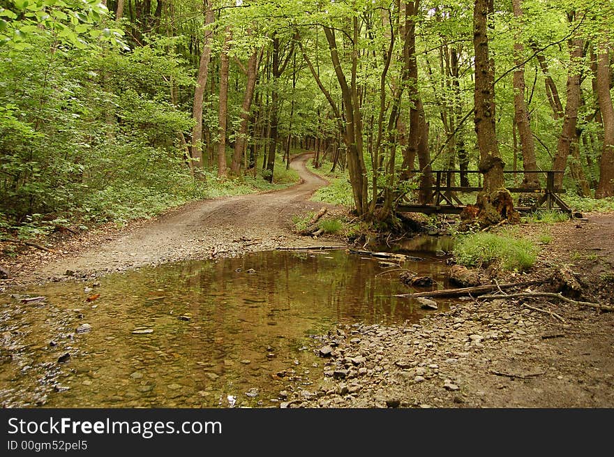 Ford through small stream with bridge above and road dissappearing in distance in the middle of forrest. Ford through small stream with bridge above and road dissappearing in distance in the middle of forrest