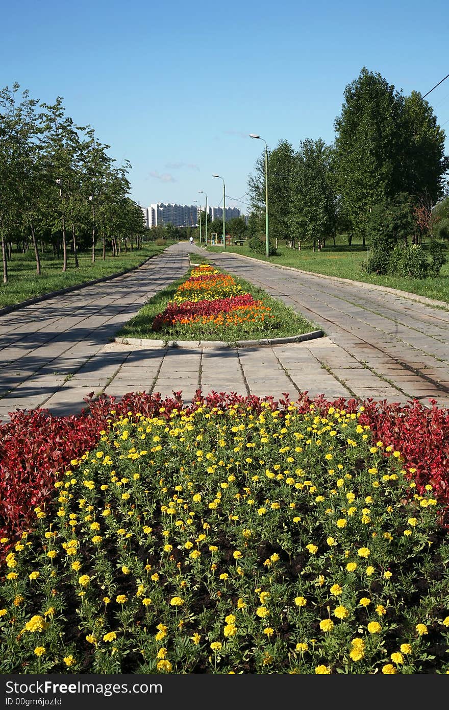 Flower Beds In City Park