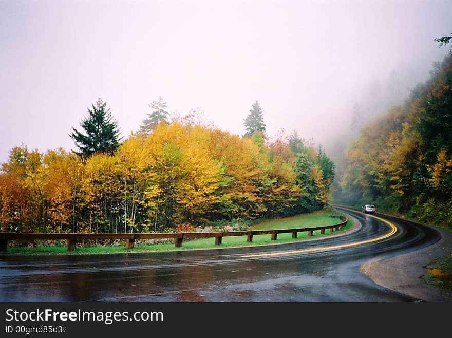 A damp foggy day at the NC state line. Fall colors are bright on the trees. The road is slick. A damp foggy day at the NC state line. Fall colors are bright on the trees. The road is slick.