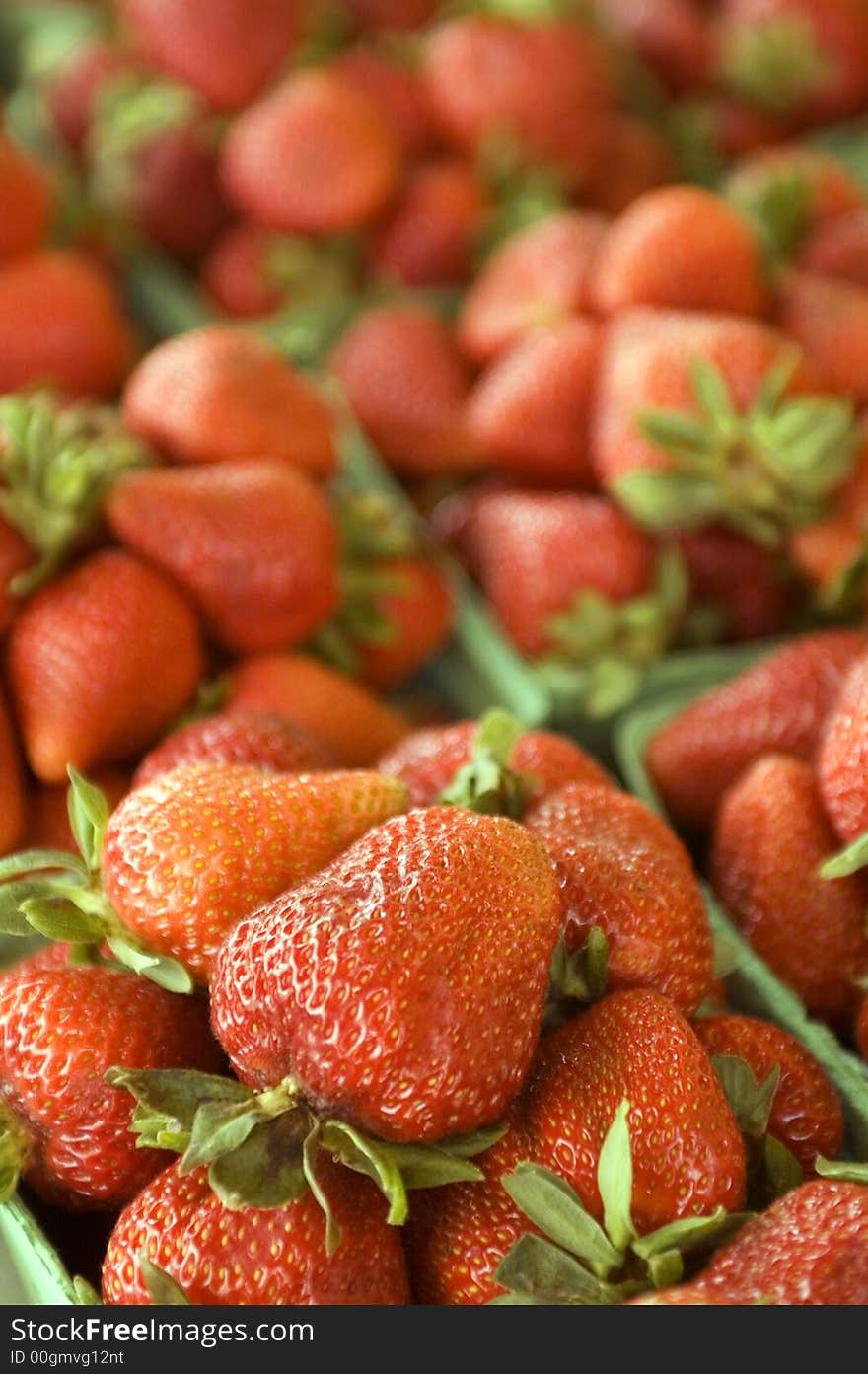 Close-up view of a strawberry isolated from the rest. Close-up view of a strawberry isolated from the rest.