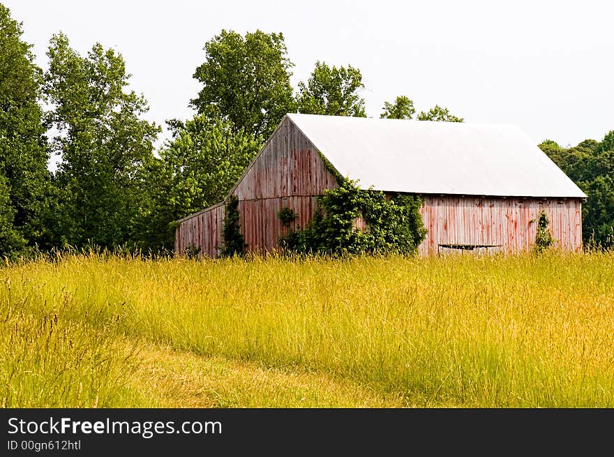 Old tobacco barn in hayfield