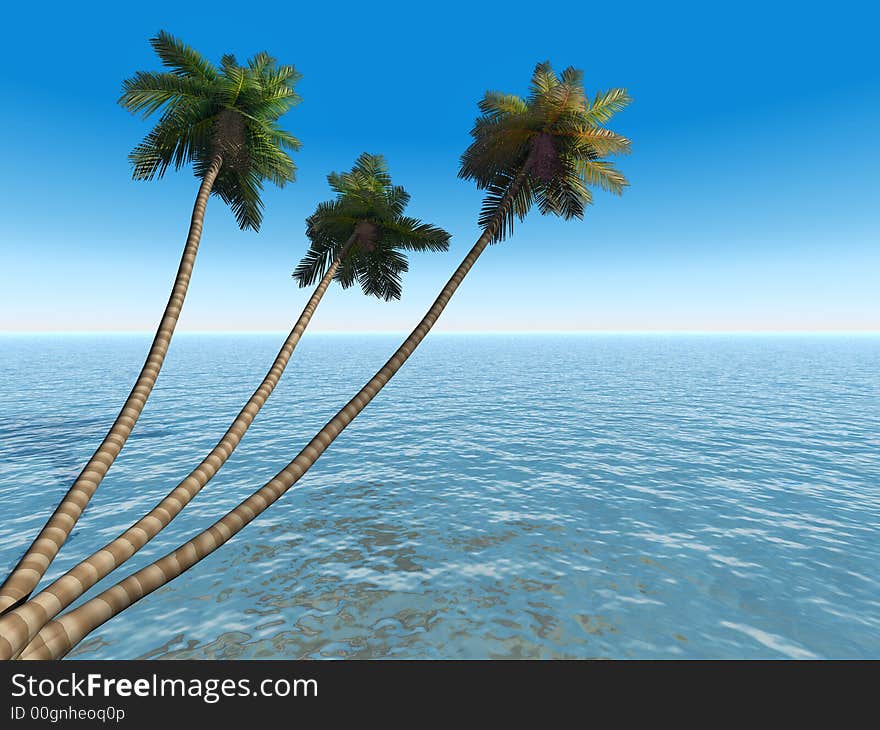 Palms on an exotic tropical beach on a background clear sky and blue transparent ocean