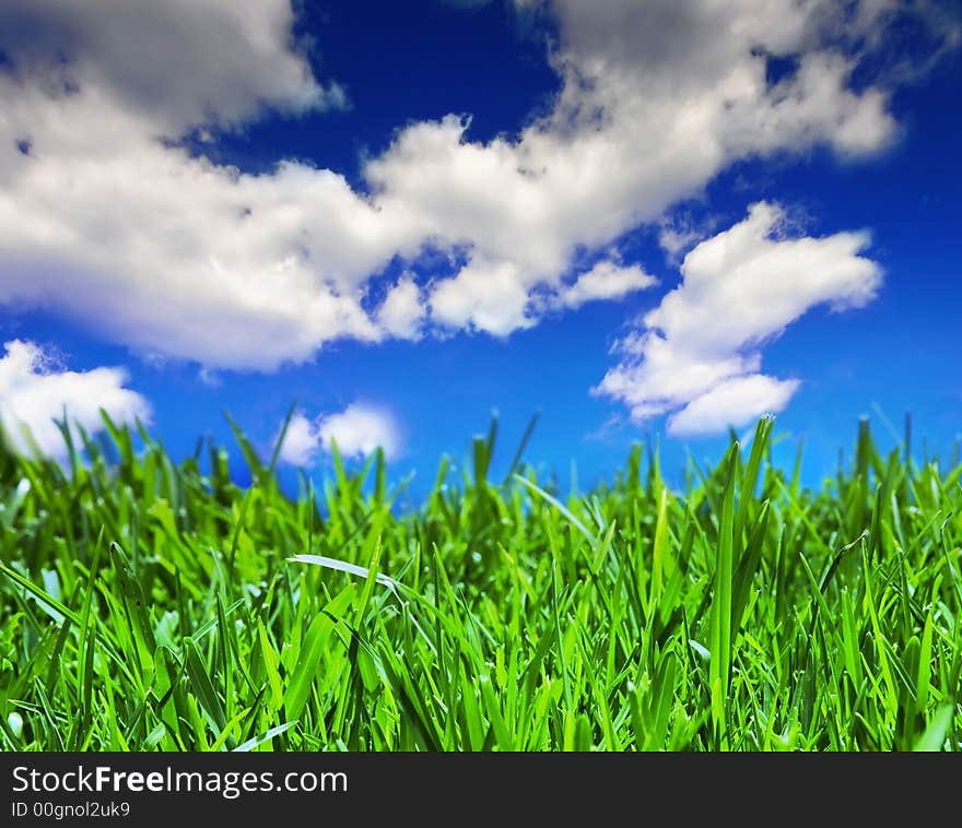 Brilliant emerald grass with beautiful cloudy summer sky - close-up. Brilliant emerald grass with beautiful cloudy summer sky - close-up