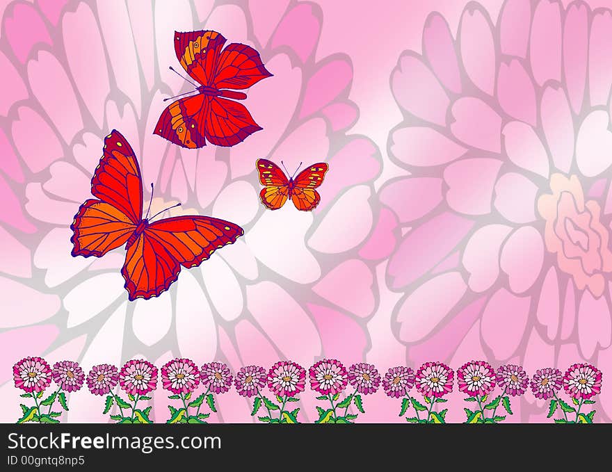 Butterfly in pink