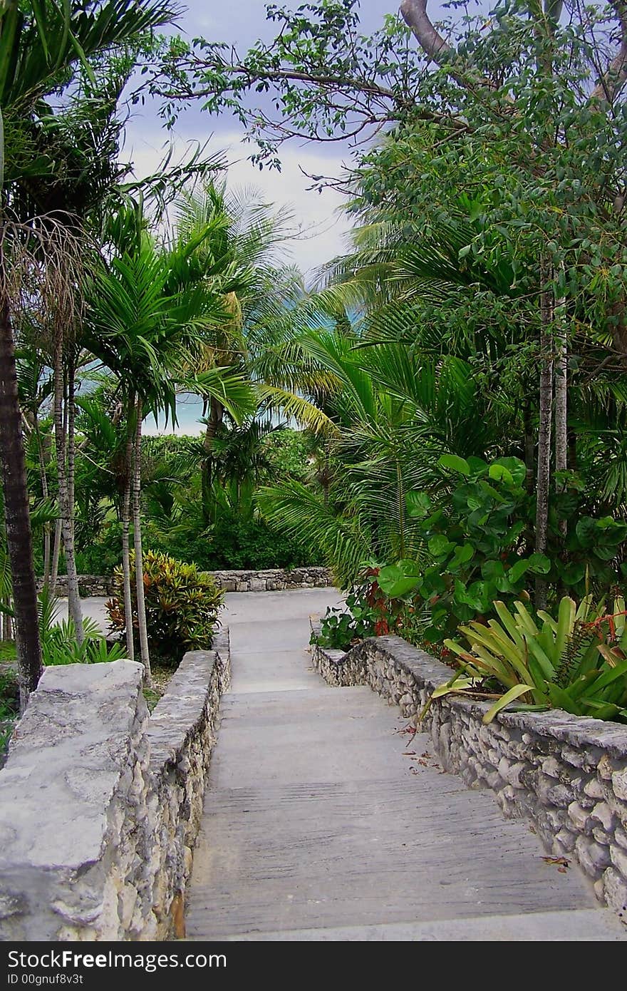 A Caribbean stone pathway leading to the ocean (seen in the distance). A Caribbean stone pathway leading to the ocean (seen in the distance).