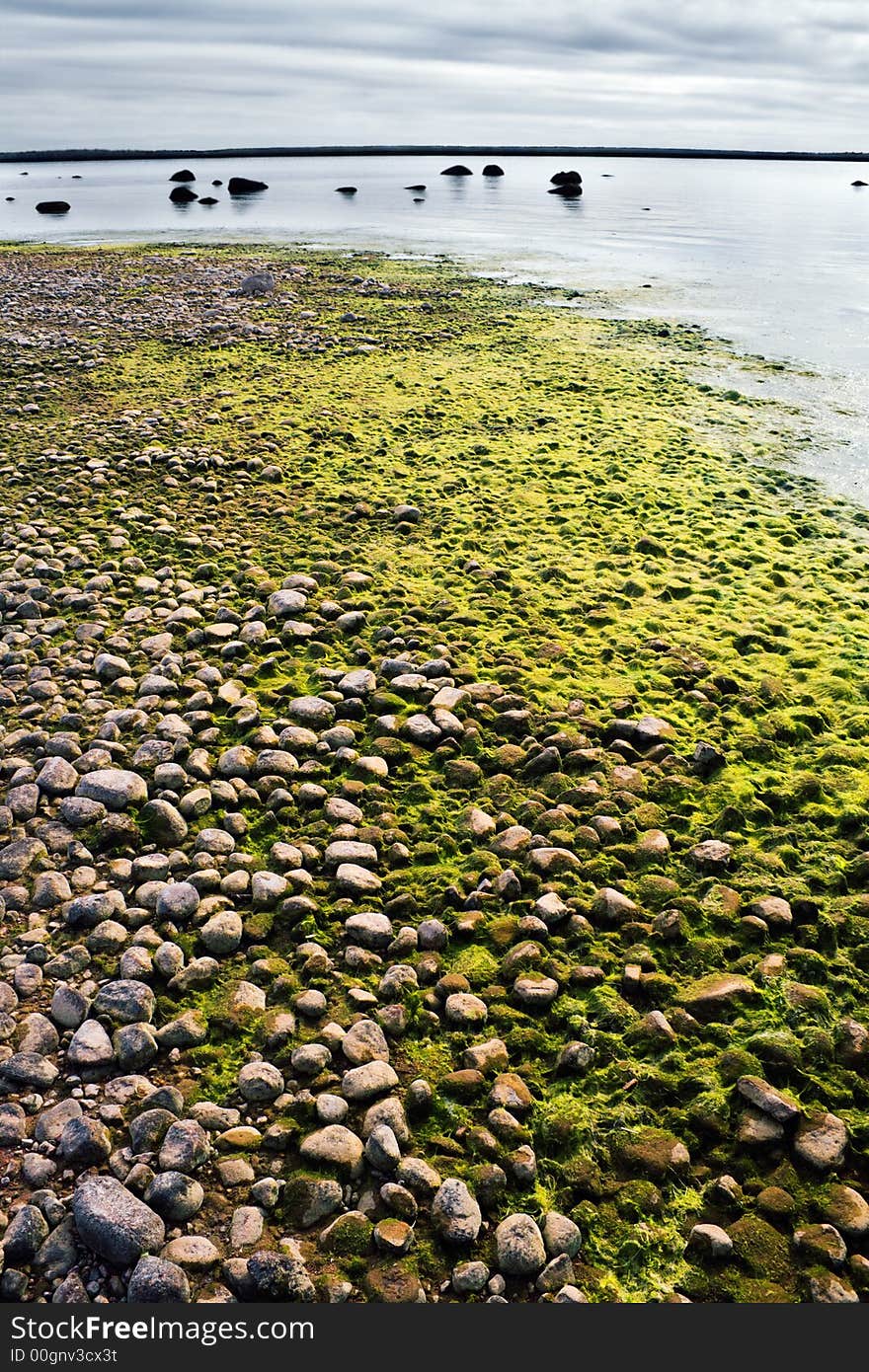 Low tide on a Finish gulf shore,North-West Russia