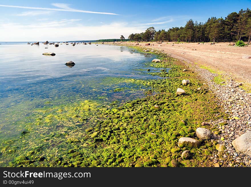 Low tide