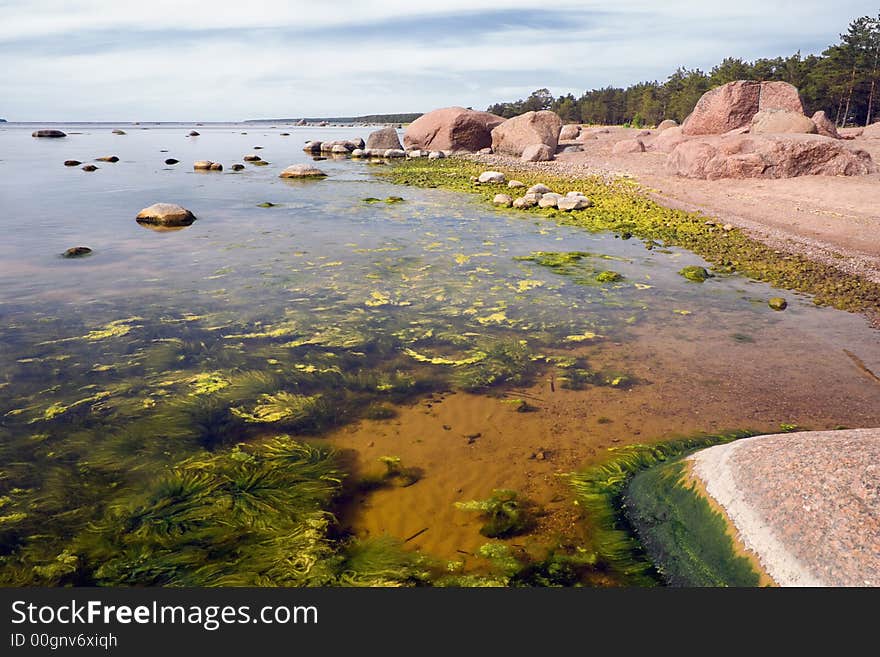 Low tide on a Finish gulf shore,North-West Russia