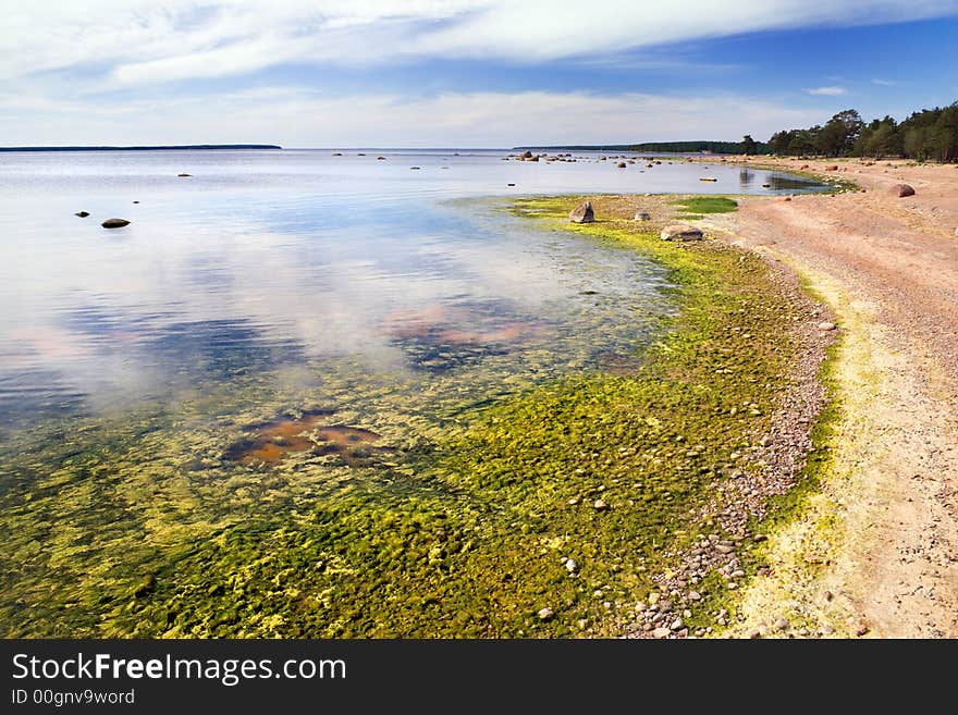 Low tide on a Finish gulf shore,North-West Russia