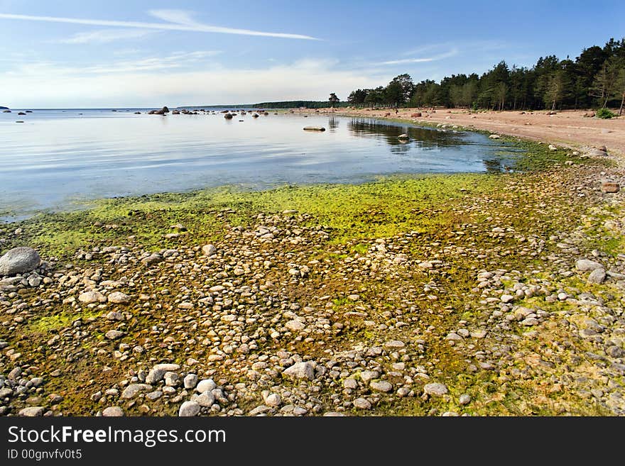 Low tide on a Finish gulf shore,North-West Russia