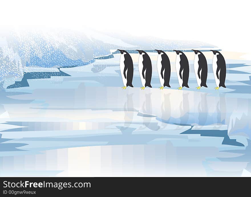 Six Penguins