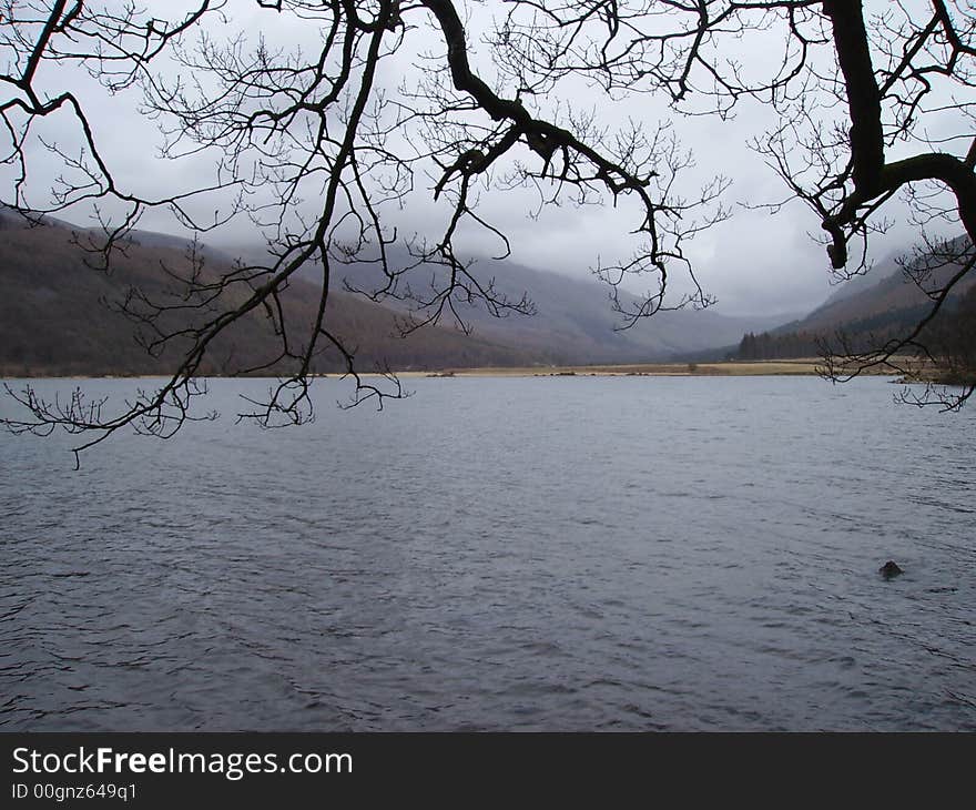 DIGITAL CAMERA view through the trees across the lake