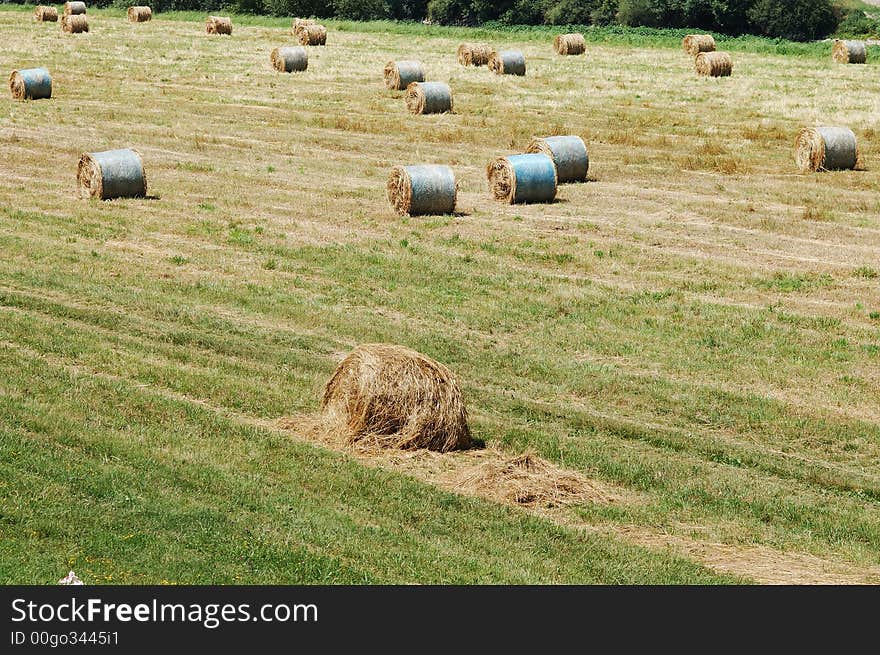 Straw Bales