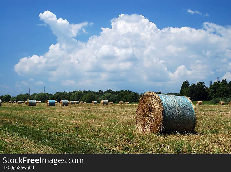 Straw Bales