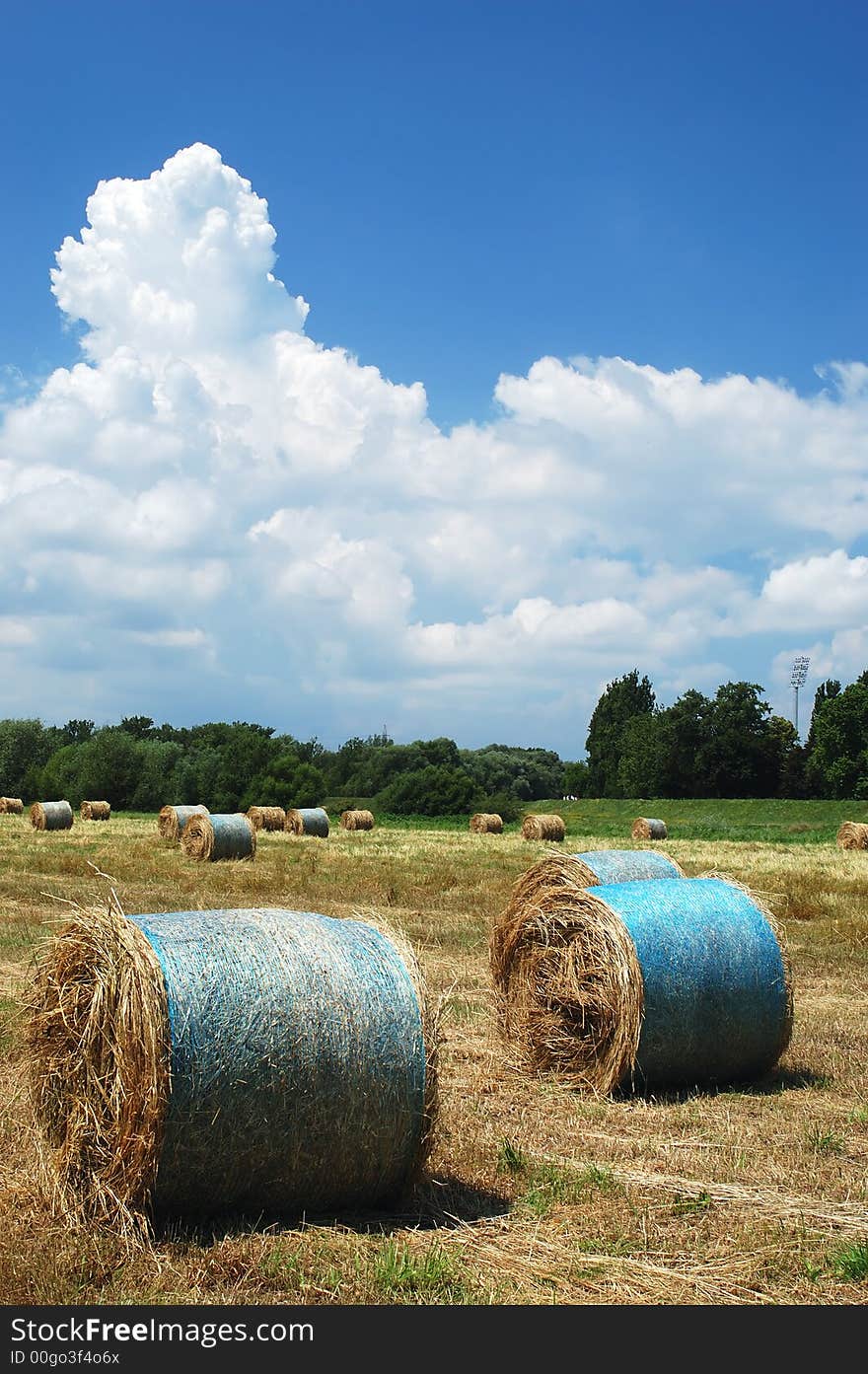 Straw Bales