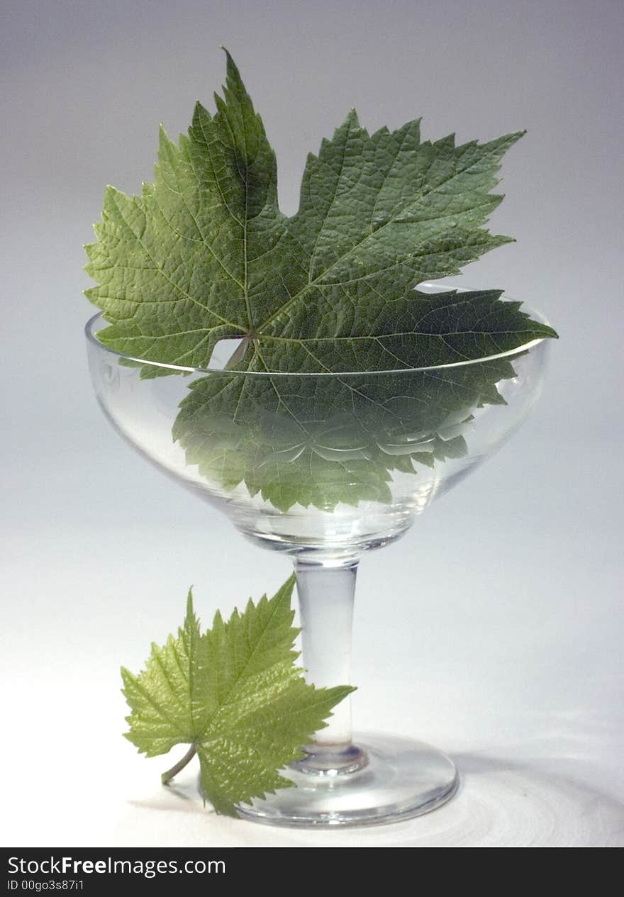 Crystal glass and green leaf