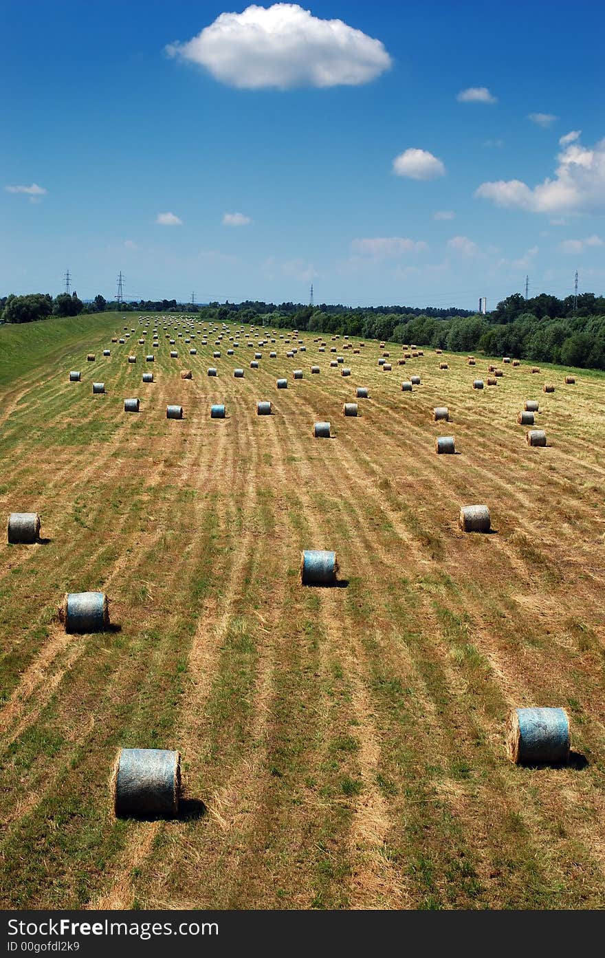 Straw Bales