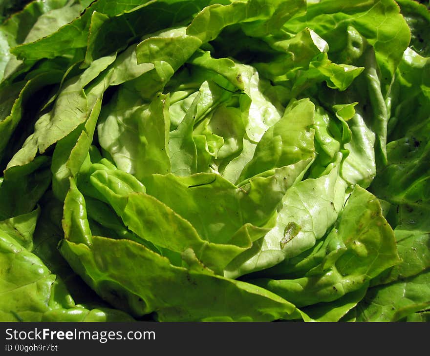 Salad,rabbit food,vegetables,in market places