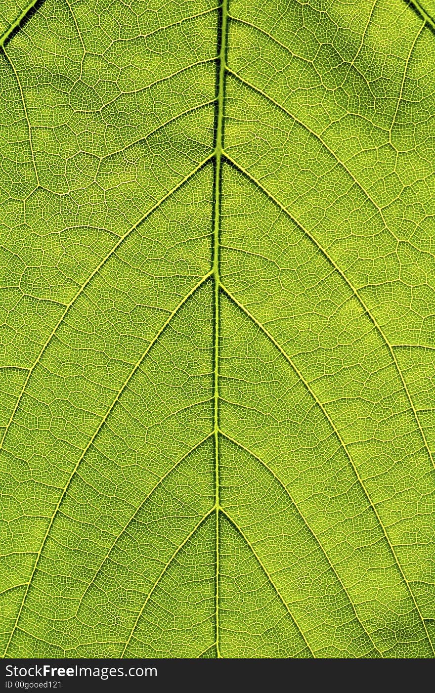 Leaf structure