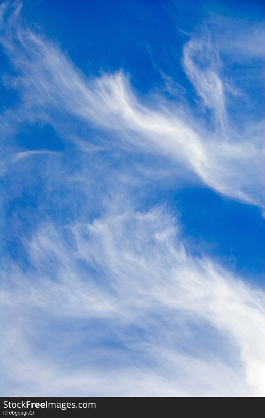 Delicate clouds in the blue sky. Delicate clouds in the blue sky