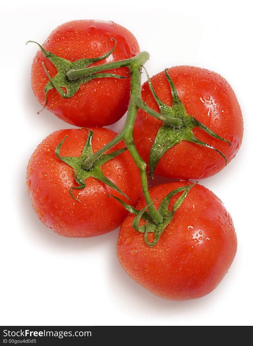 Close up view of the dewed tomatos