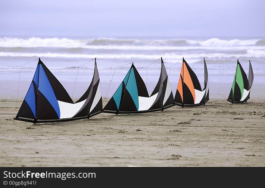 Kites on the beach