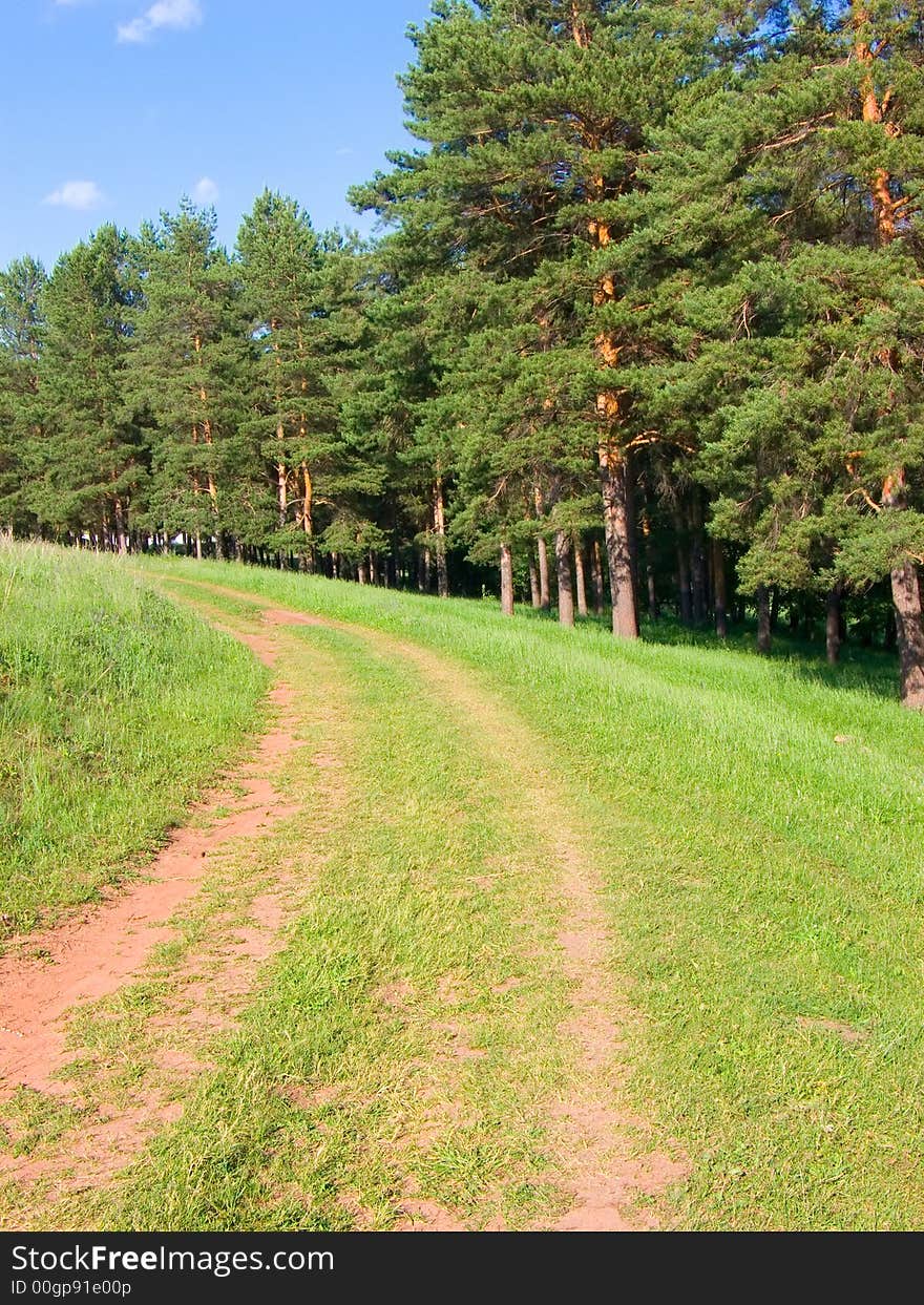 On a green meadow about a coniferous wood the trace from the car is visible. On a green meadow about a coniferous wood the trace from the car is visible.