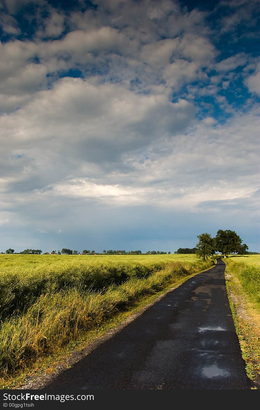 Road through countryside in Poland. Road through countryside in Poland