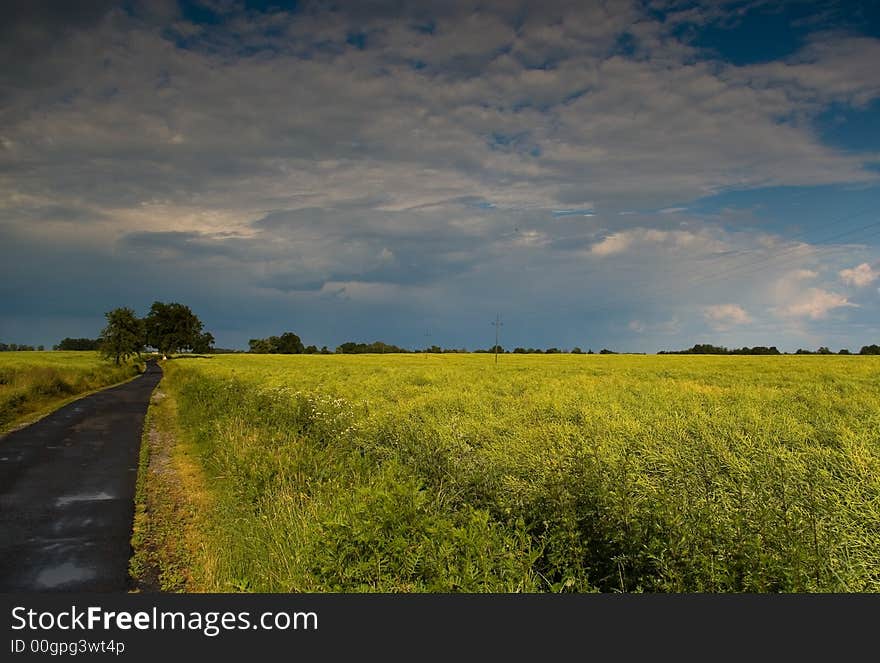 Road through countryside in Poland. Road through countryside in Poland