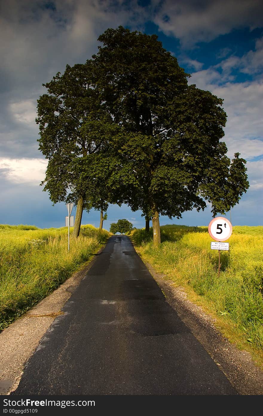 Road through countryside in Poland. Road through countryside in Poland