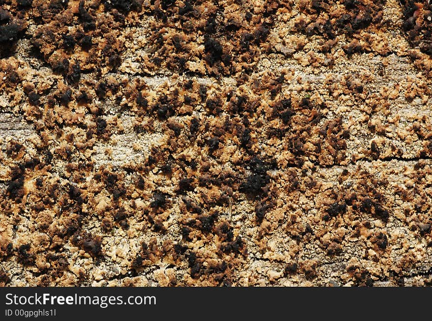 An abstract grunge wooden texture