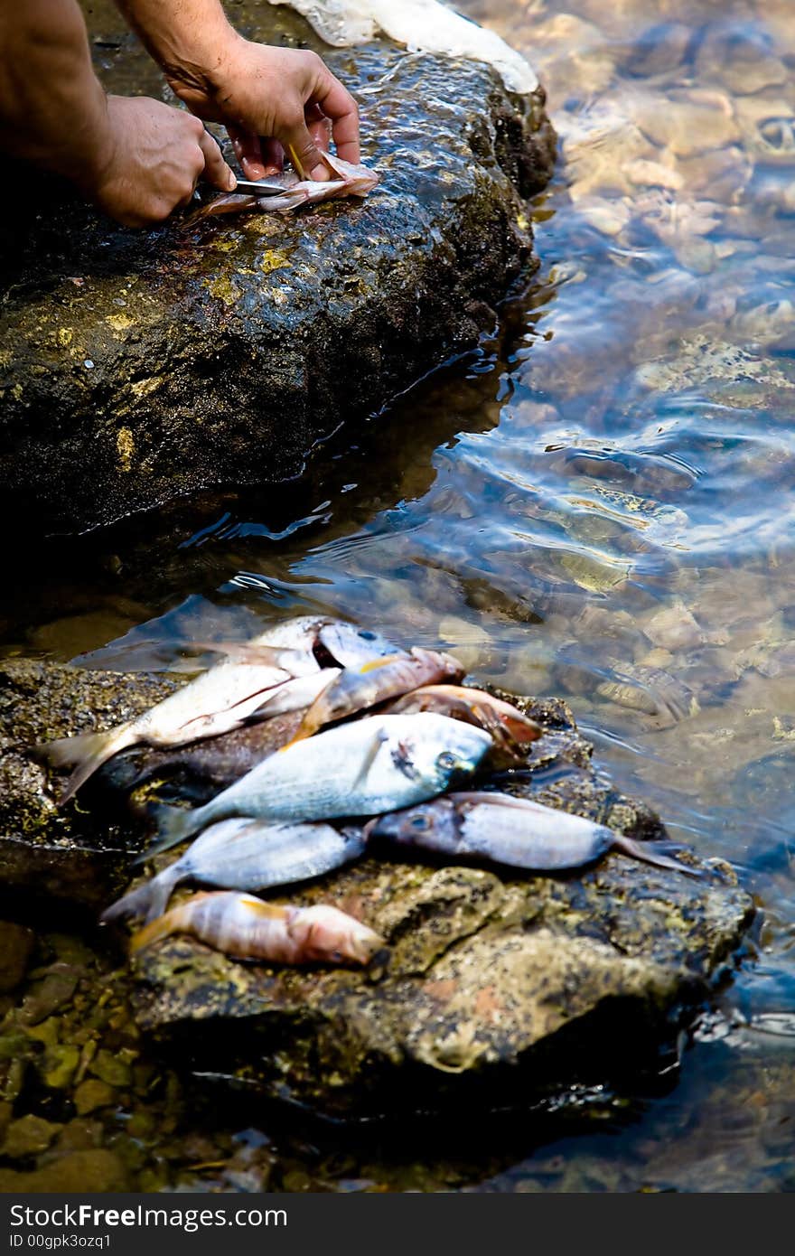 Cleaning fish