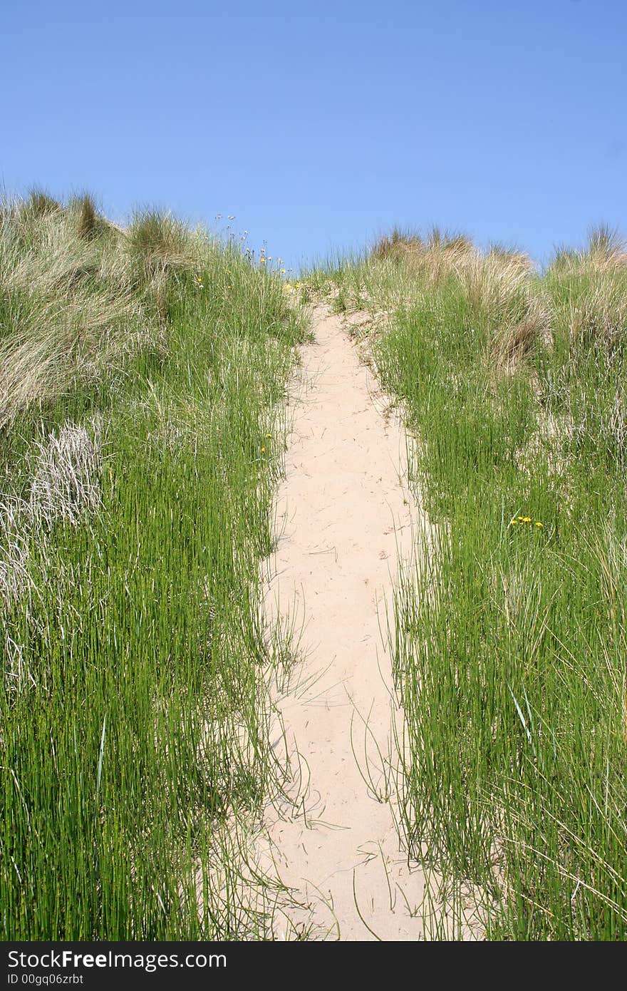 Dune Path