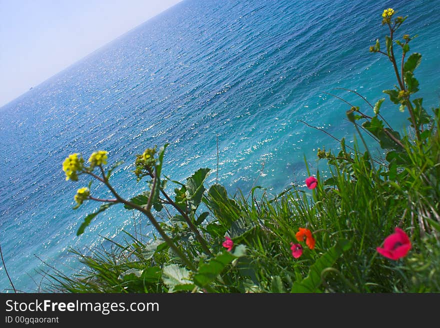 Kind on the sea behind a field. Kind on the sea behind a field