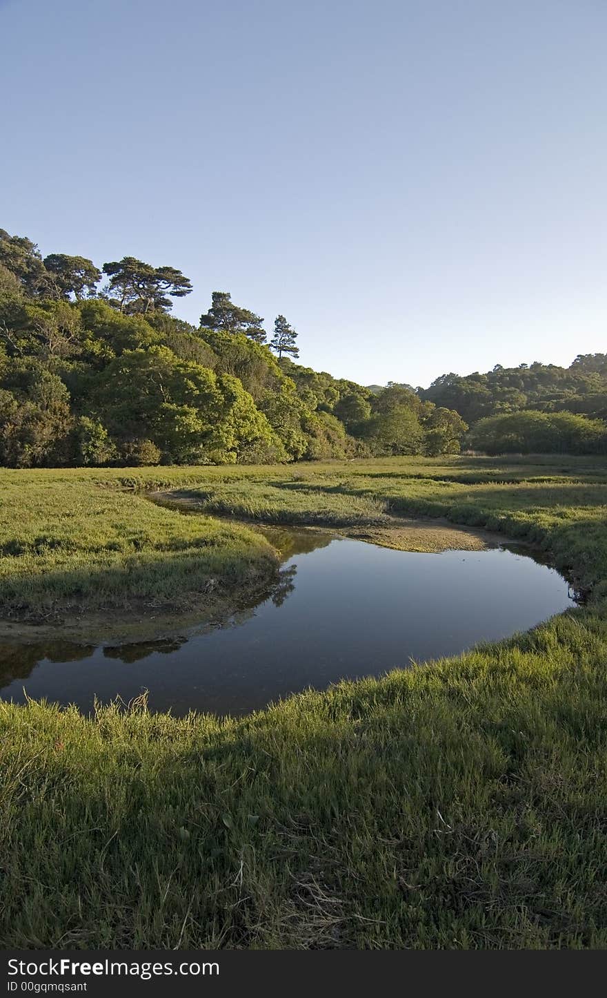 Tomales bay state park, California