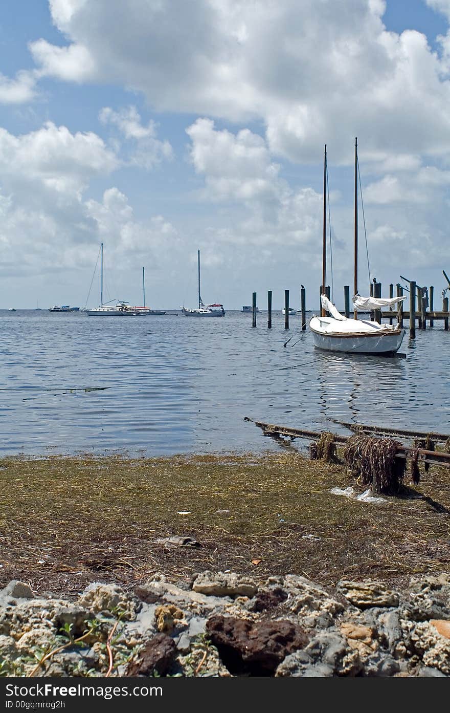 Sailboat in the blue water