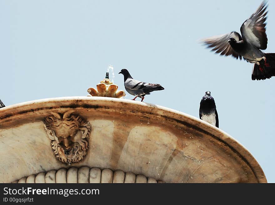 Pigeons and fountain detail undre blue sky. Pigeons and fountain detail undre blue sky