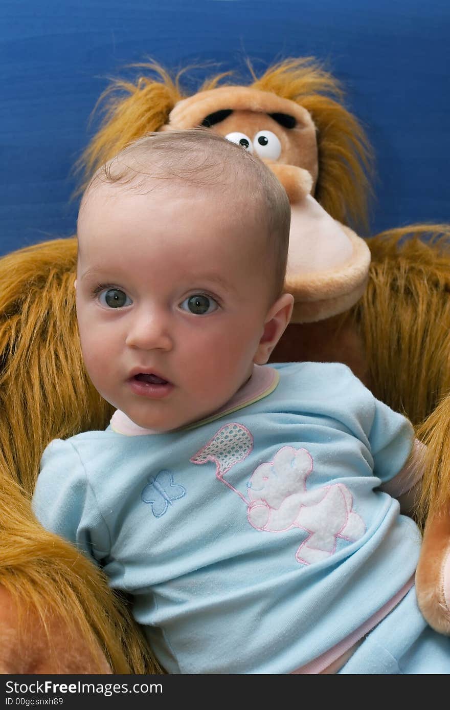 Curious baby boy look and stuffed monkey toy. Curious baby boy look and stuffed monkey toy