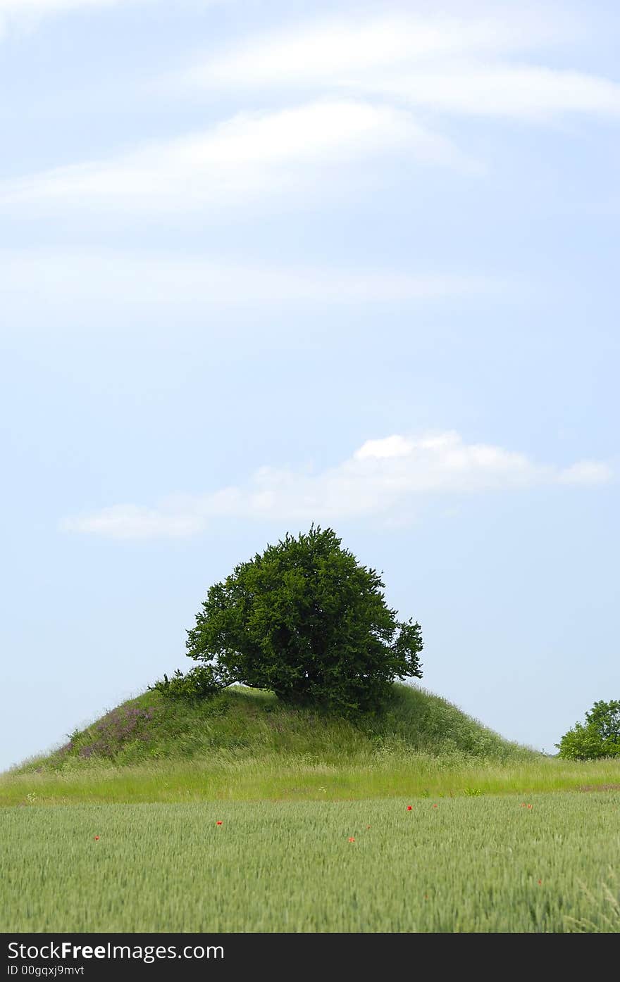 Tree on small hill with blue and cloudy sky