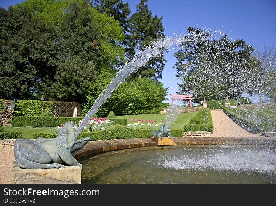 Bronze frog fontain in park