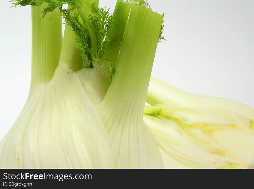 Fennel - closeup