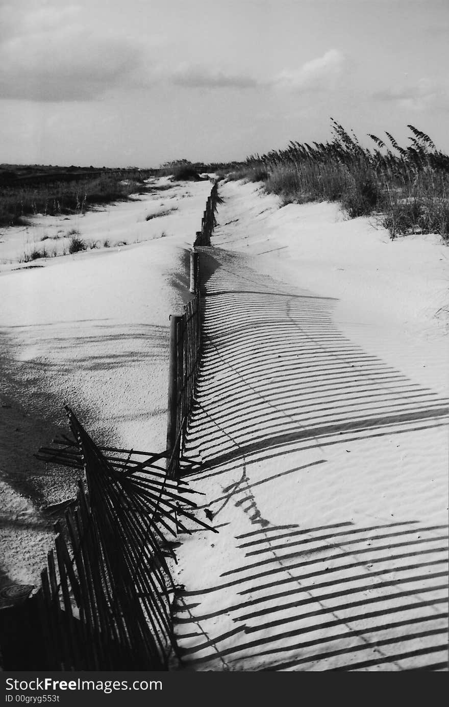 Florida Beach