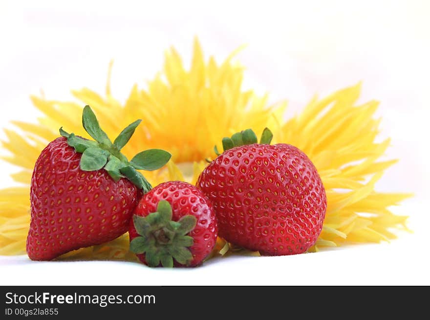 Fresh strawberries and bright sunflower against a white background. Fresh strawberries and bright sunflower against a white background.