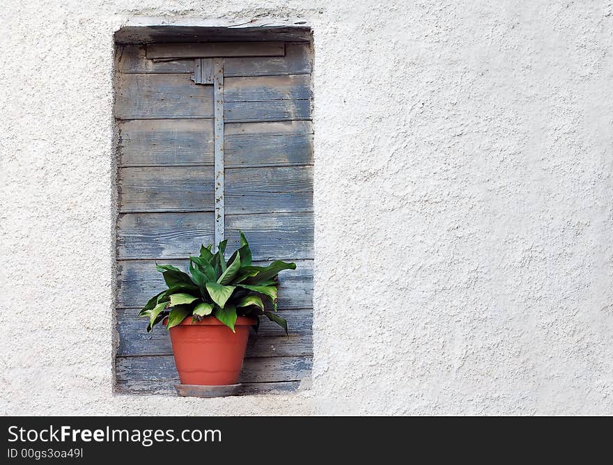 Image shows the window of an abandoned old Greek house been decorated with a plant pot. Image shows the window of an abandoned old Greek house been decorated with a plant pot