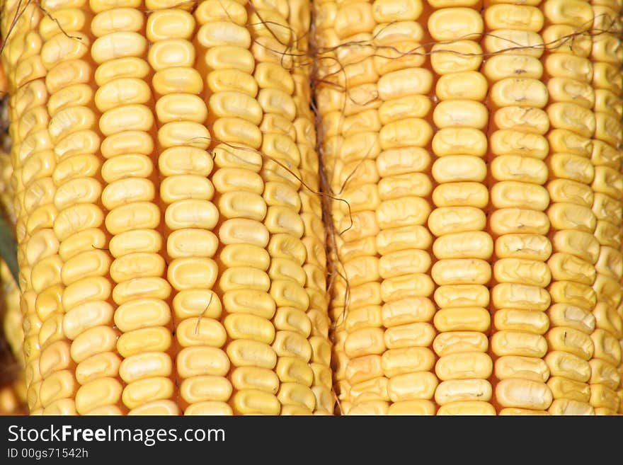 Close-up of two Corn cars. Close-up of two Corn cars