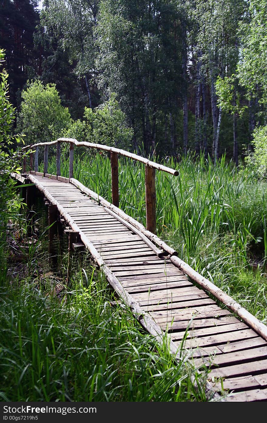 Woods Bridge in summer day