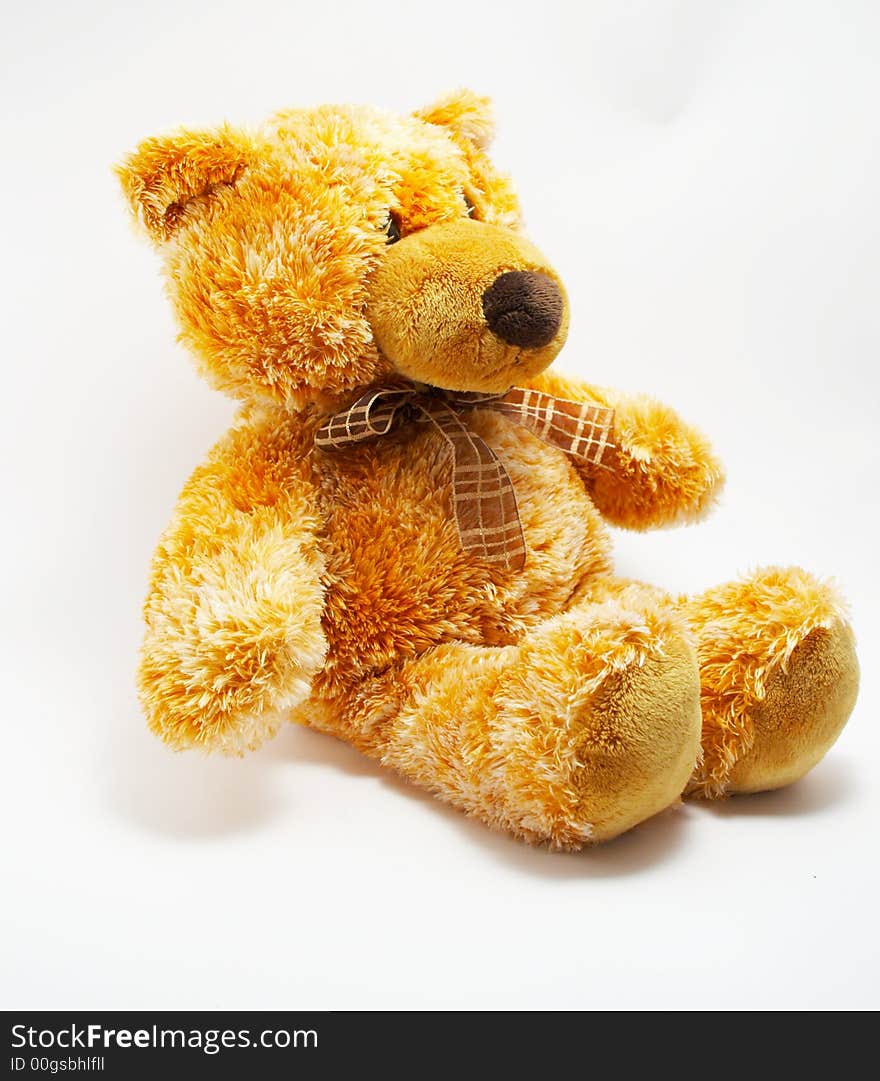 A Toy - A Soft Bear