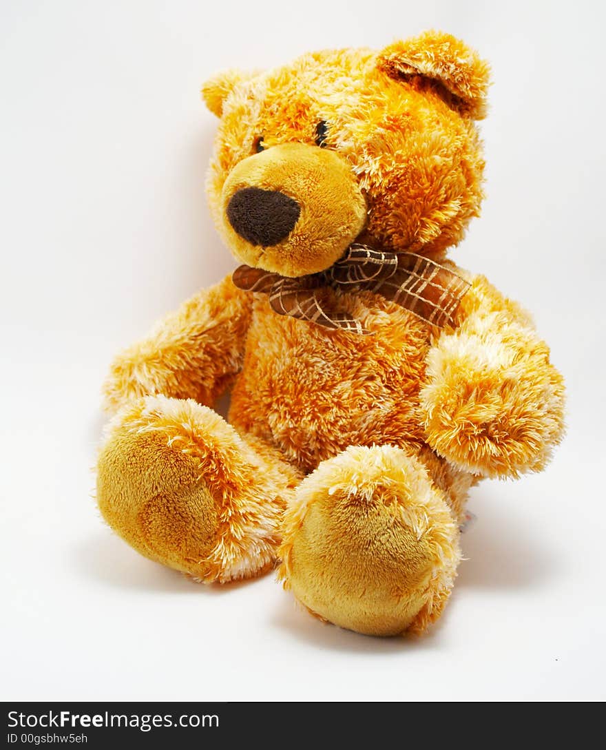 A toy - a soft bear