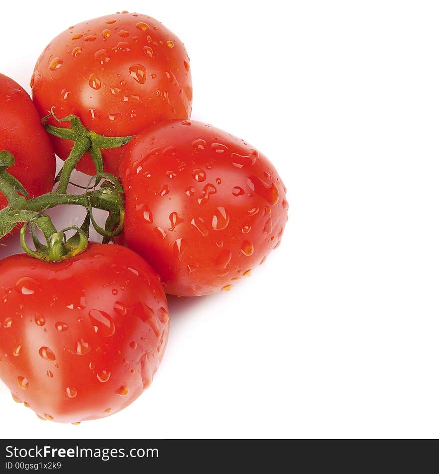 Red tomatoes with a green branch on the white background, isolated