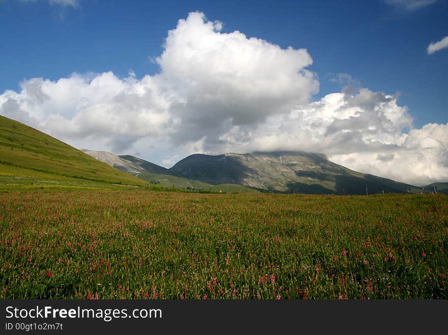 Castelluccio /spring Landscape